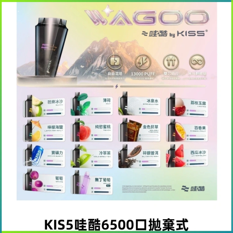 KIS5哇酷6500口拋棄式 | 自由混搭雙口味 | 雙芯組合