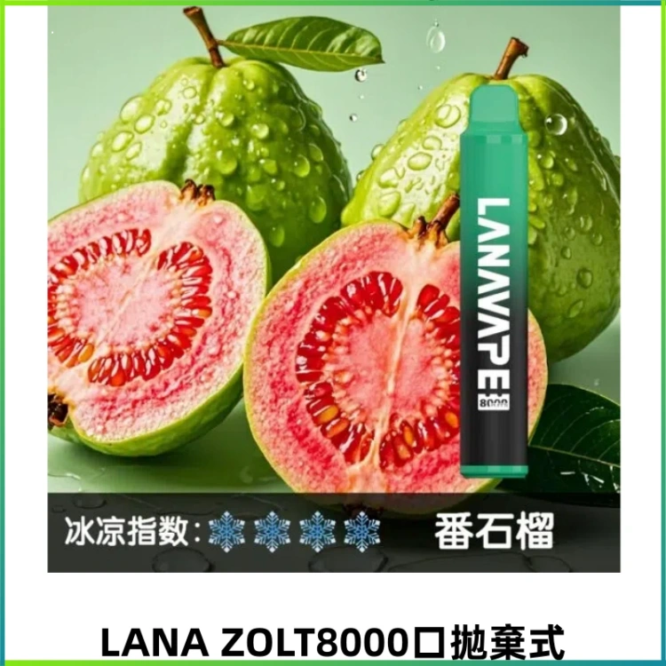 LANA ZOLT8000口拋棄式可充電一次性電子煙【霧化日用款】