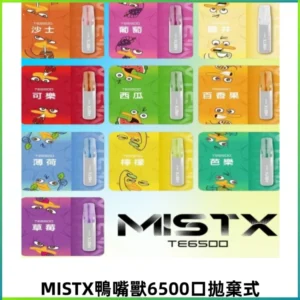MISTX TE鴨嘴獸6500口一次性抛棄式電子煙